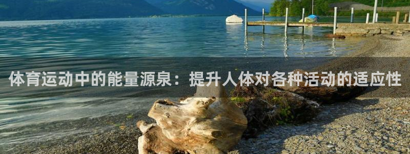 风速体育官网：体育运动中的能量源泉：提升人体对各种活动的适应性