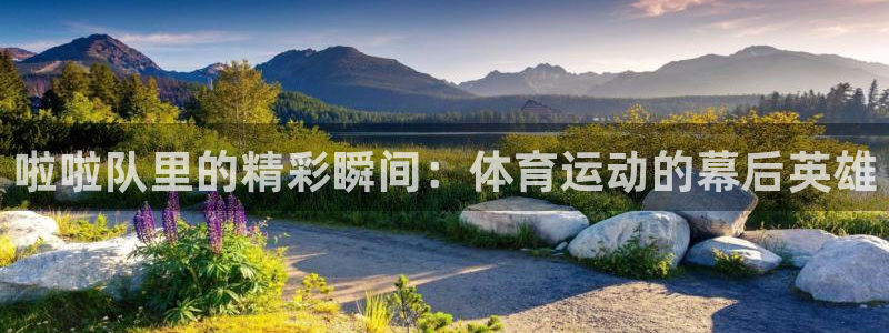风速体育app：啦啦队里的精彩瞬间：体育运动的幕后英雄