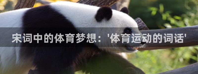 风速体育直播：宋词中的体育梦想：\'体育运动的词话\'