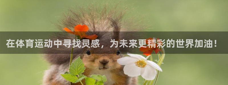 风速体育app官方下载：在体育运动中寻找灵感，为未来更精彩的世界加油！