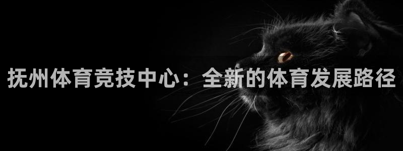 风速体育官网：抚州体育竞技中心：全新的体育发展路径