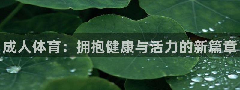 风速体育直播：成人体育：拥抱健康与活力的新篇章