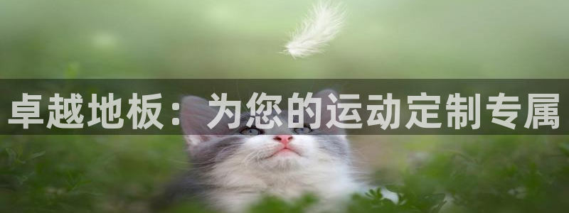 风速体育下载：卓越地板：为您的运动定制专属