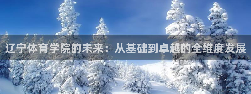 风速体育app：辽宁体育学院的未来：从基础到卓越的全维度发展