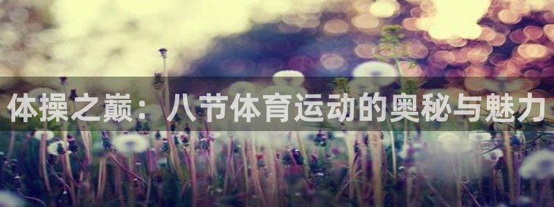 风速体育nba免费直播：体操之巅：八节体育运动的奥秘与魅力