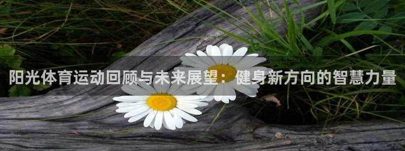 风速体育：阳光体育运动回顾与未来展望：健身新方向的智慧力量