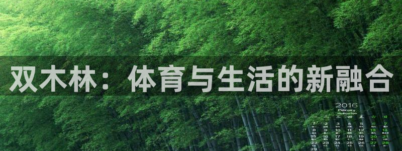 风速体育app下载官网最新版：双木林：体育与生活的新融合